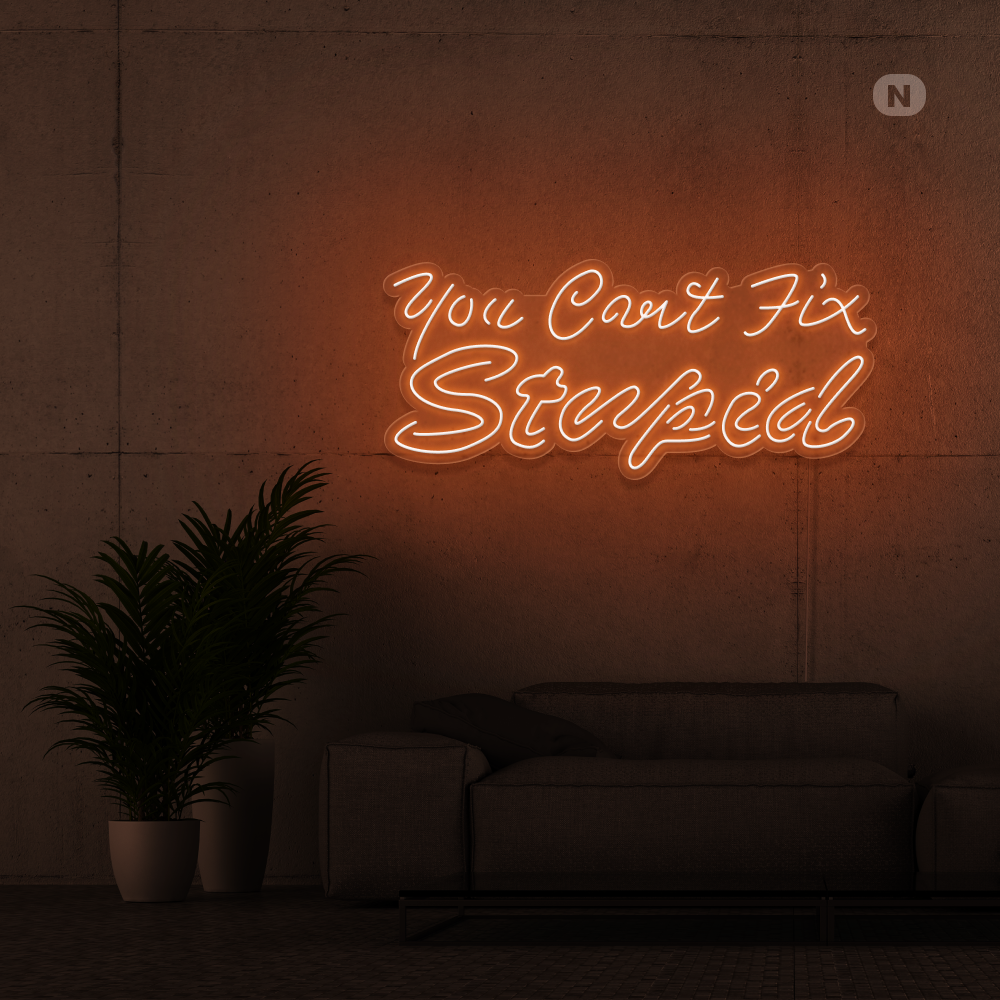 Neonskilt you can't fix stupid
