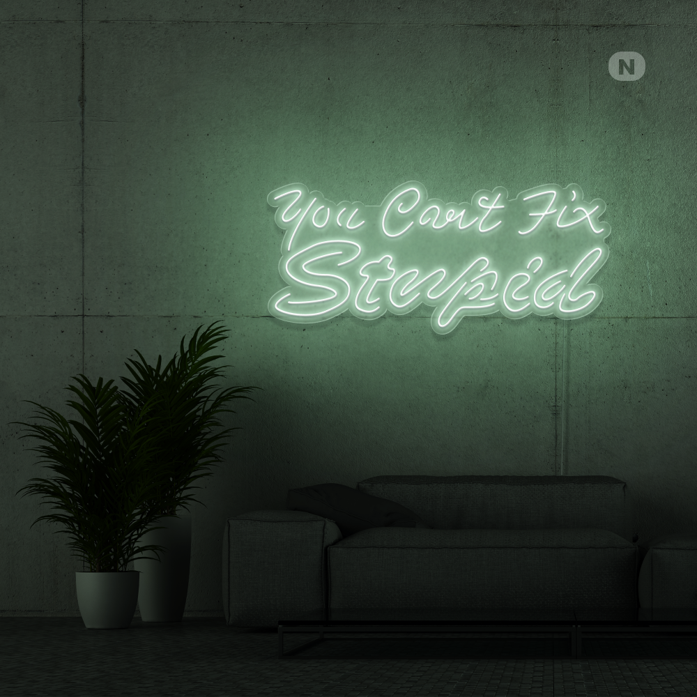 Neonskilt you can't fix stupid