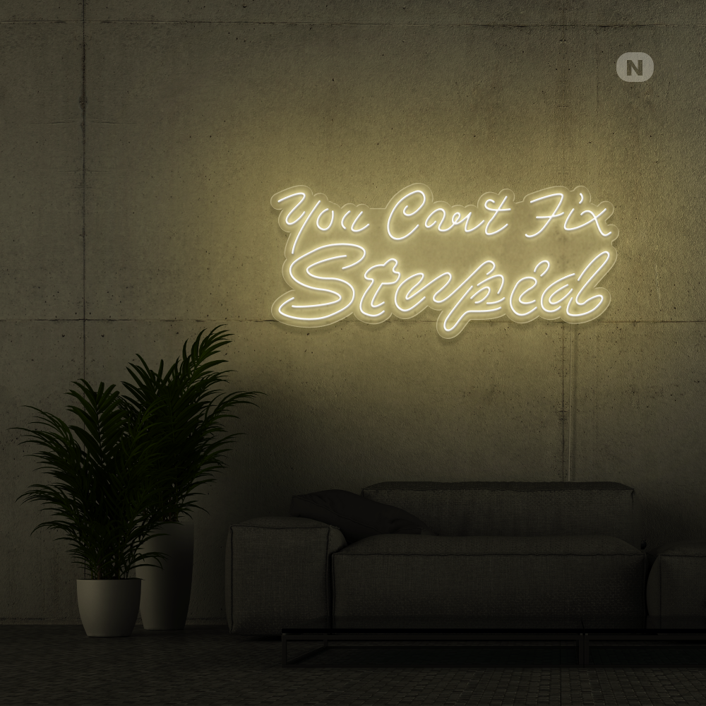 Neonskilt you can't fix stupid