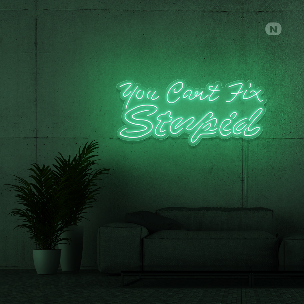 Neonskilt you can't fix stupid