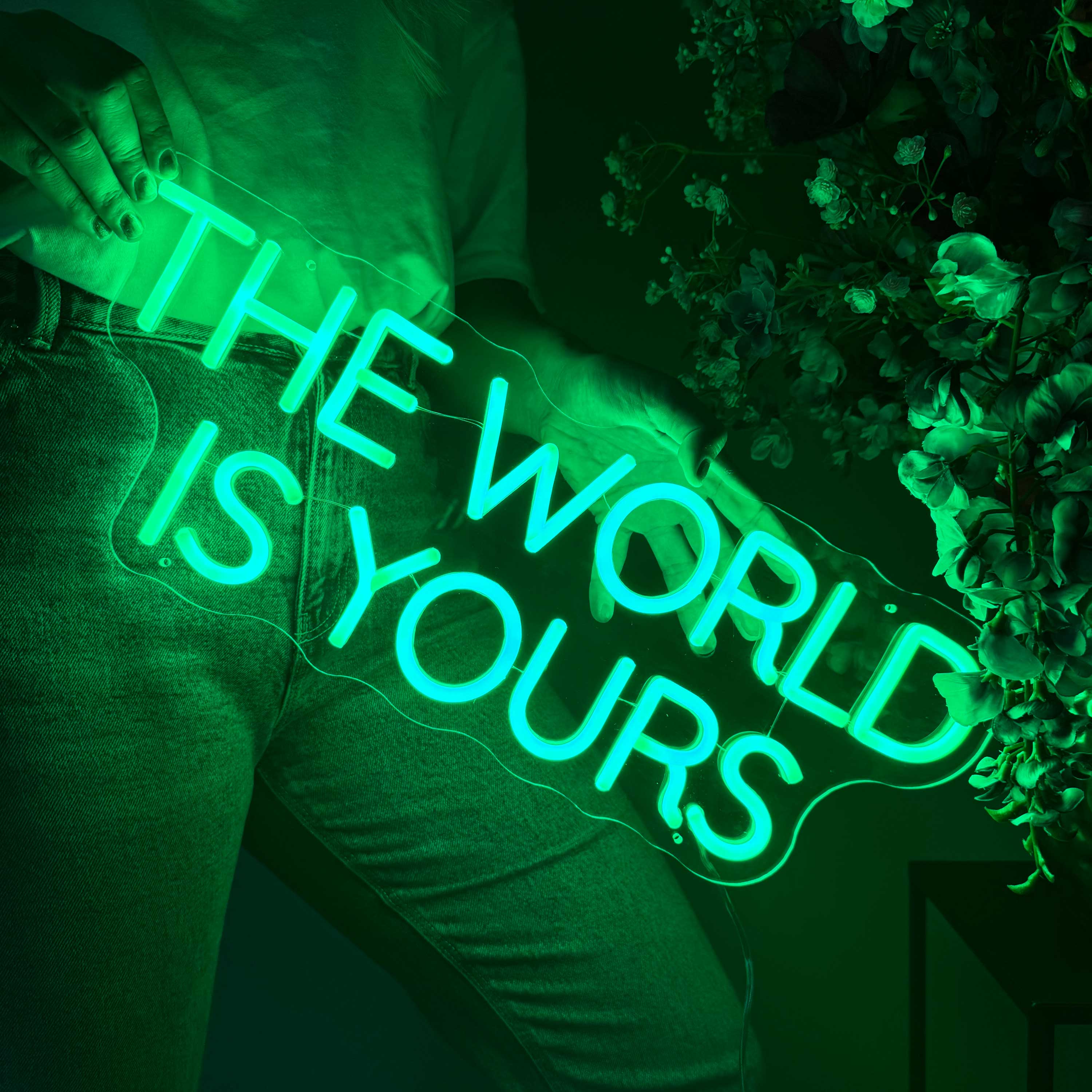 Neonskilt The World Is Yours