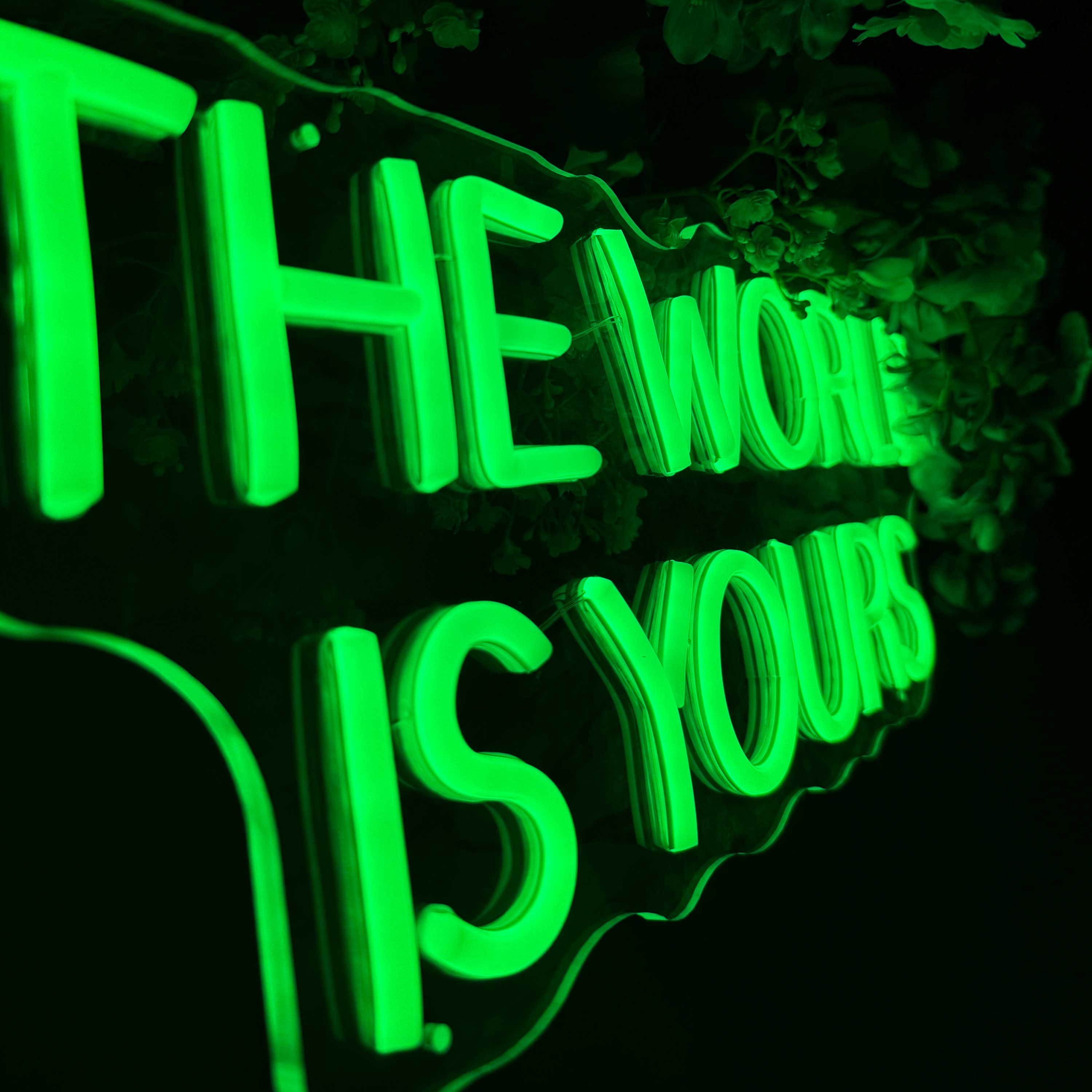 Neonskilt The World Is Yours