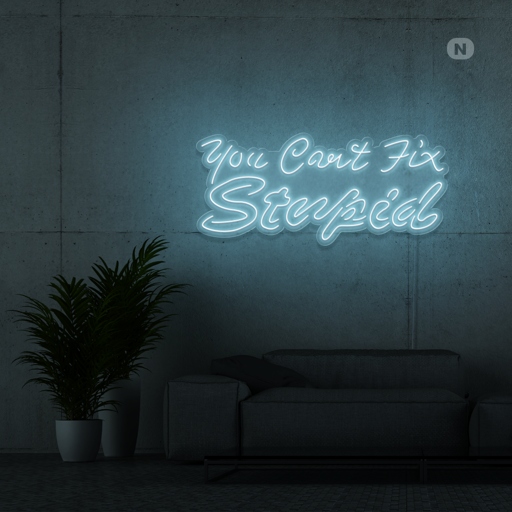 Neonskilt you can't fix stupid